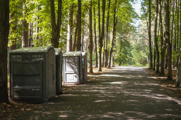 Best Porta potty rental near me  in Mountain Iron, MN